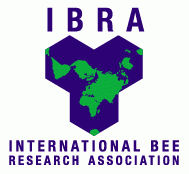 IBRA-logo.gif#asset:64